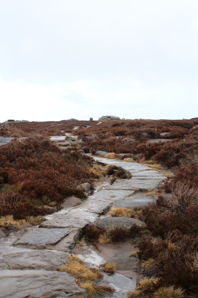 Path to Back Tor trig point