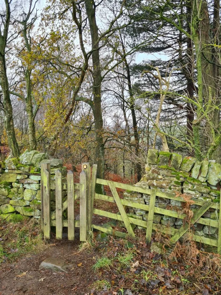 Wooden gate and fence leading into woodland