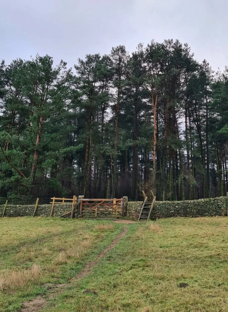 A stile leading over a wall into Manners Wood