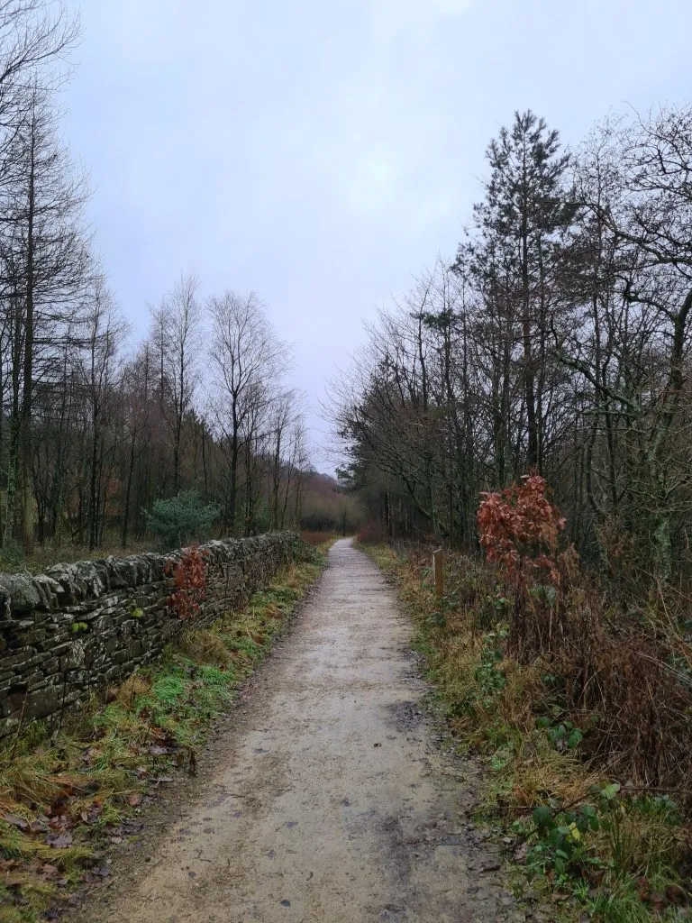 Trans Pennine Trail through the Longdendale Valley - easy Peak District walks from The Wandering Wildflower