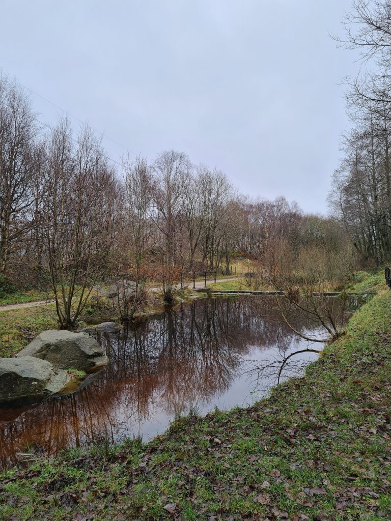 Pond to the side of the Trans Pennine Trail in the Longdendale Valley