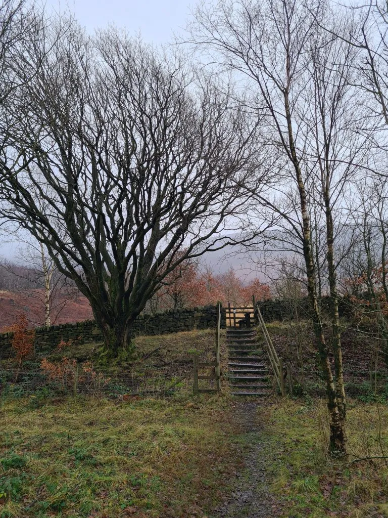 Footpath and stile up onto Shining Clough Moss