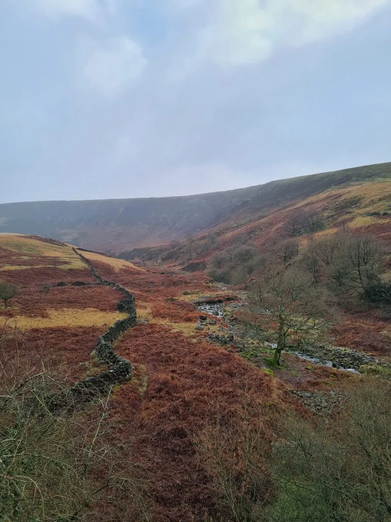 Torside Clough in winter