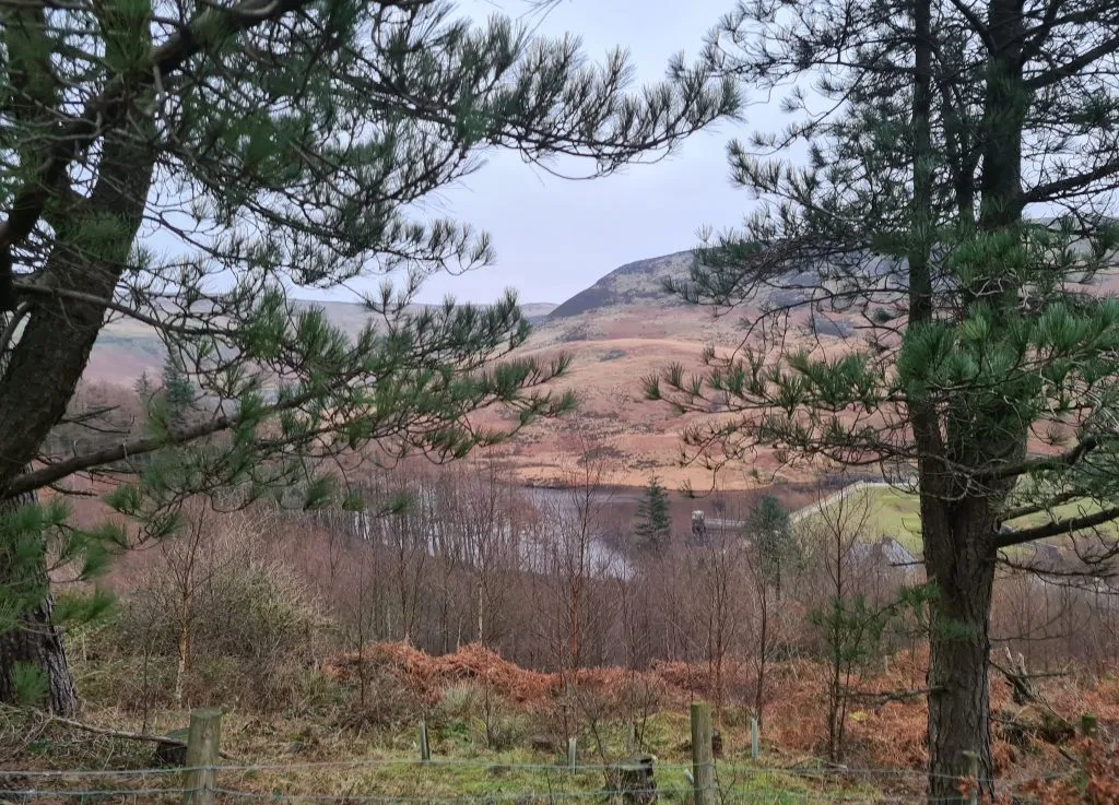 Views over Yeoman Hey Reservoir from Binn Green Car Park