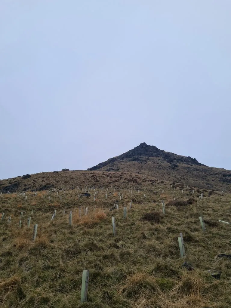 Aldermans Hill, near Dove Stone Reservoir