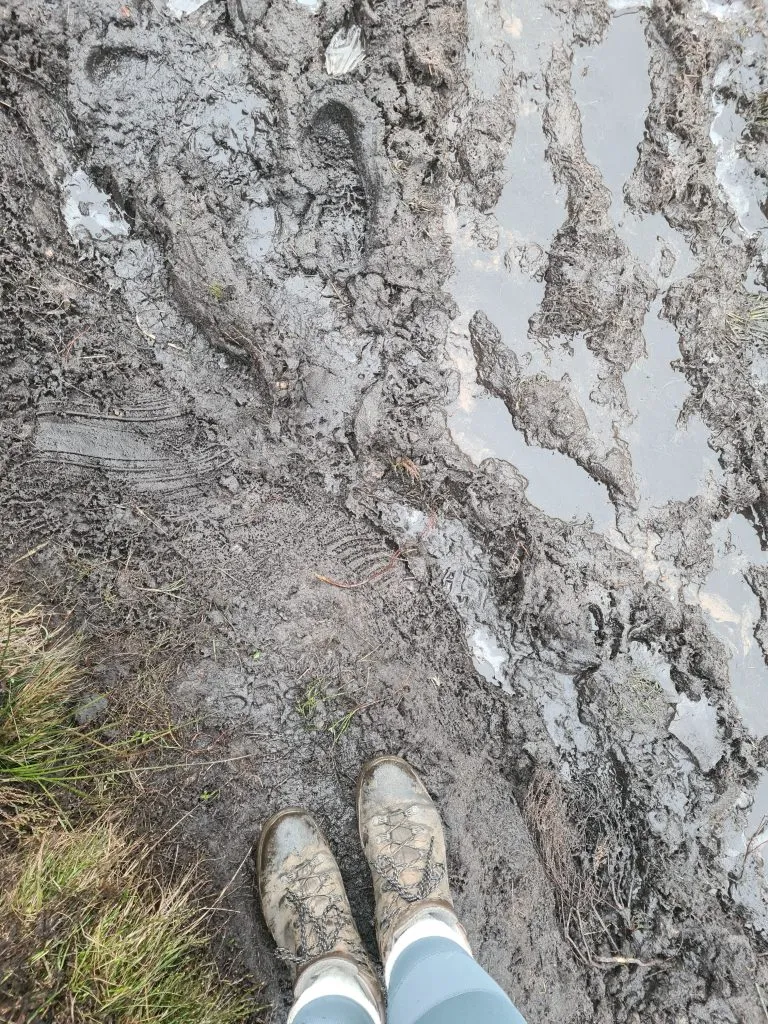 Mud and ice on the paths near The Trinnacle