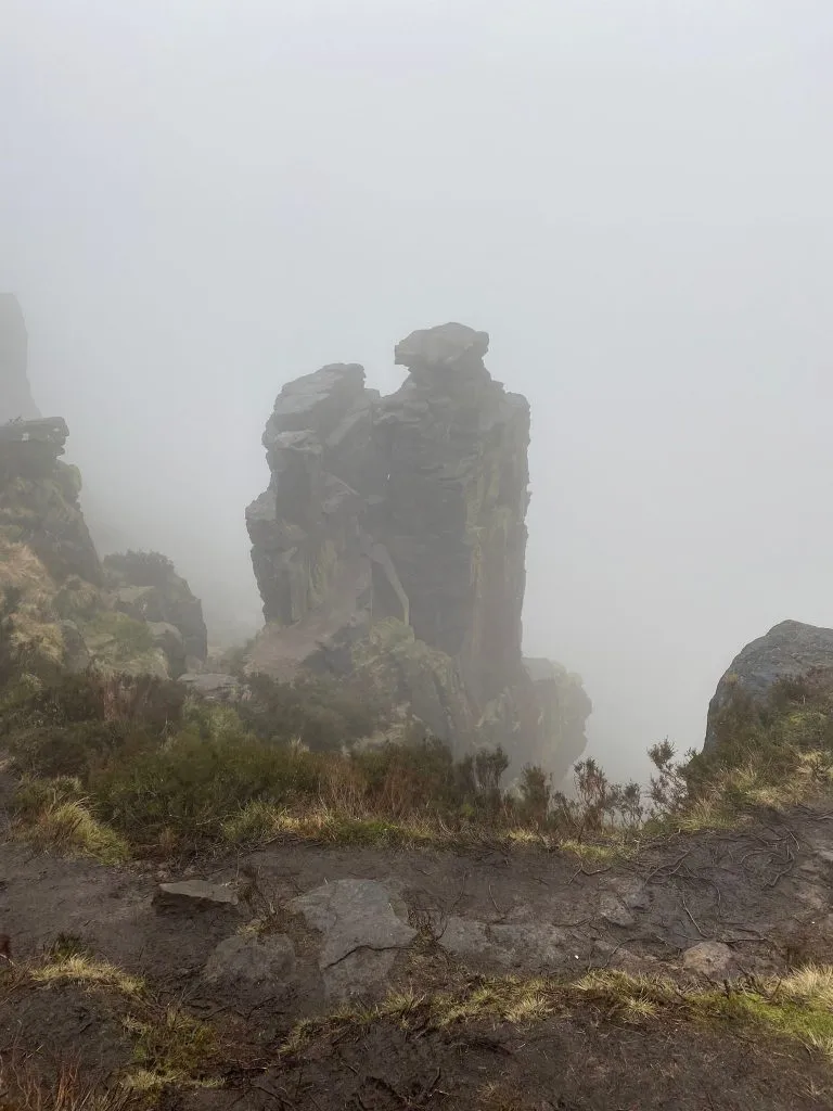 How to Find The Trinnacle - The Wandering Wildflower