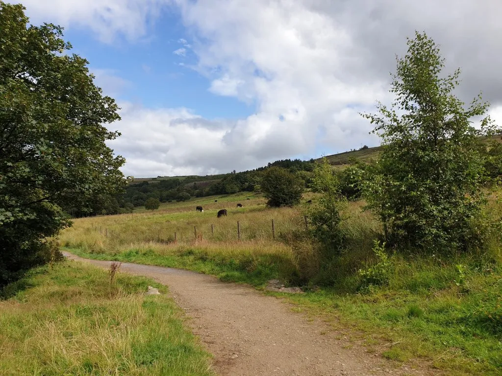 Paths around Scammonden Reservoir - Circular Walk by The Wandering Wildflower