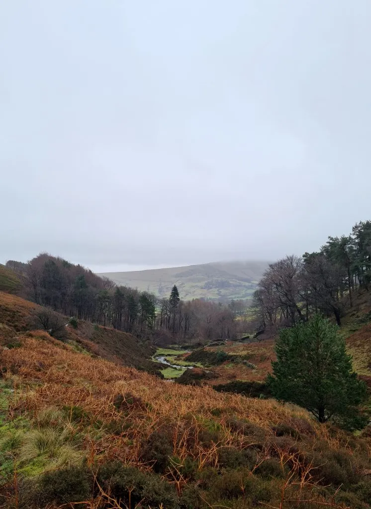 Views down Grindsbrook Clough valley over to Lose Hill