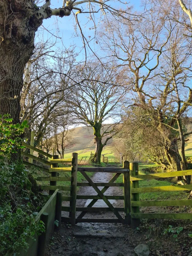 Wooden gateway and trees