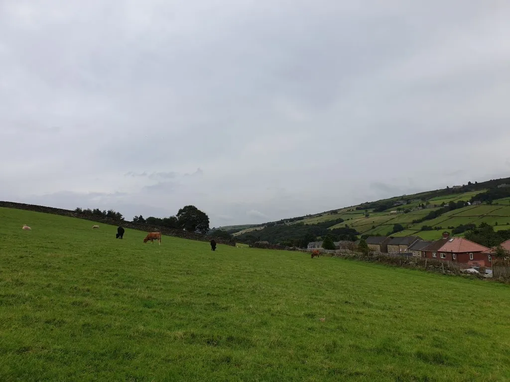 Fields near Holmbridge