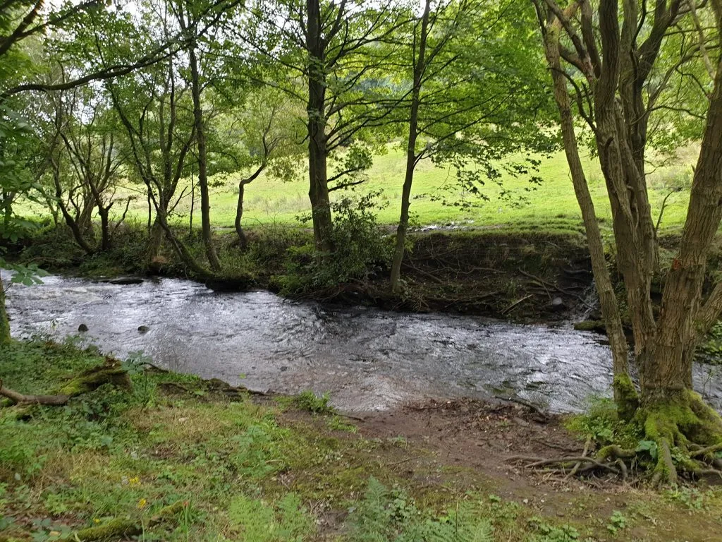 A river flowing through some woodland, Holmbridge Circular Walk on The Wandering Wildflower