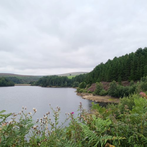 Views of Digley Reservoir from an easy 5km Digley Circular Walk Route by The Wandering Wildflower