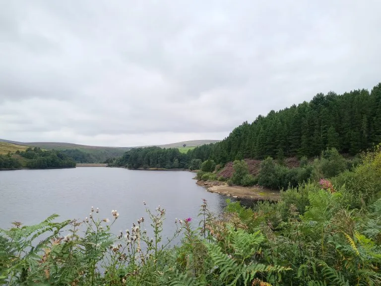 Views of Digley Reservoir from an easy 5km Digley Circular Walk Route by The Wandering Wildflower