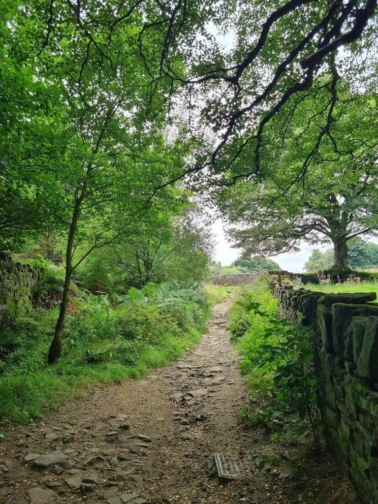 Path through woodlands near Digley Reservoir