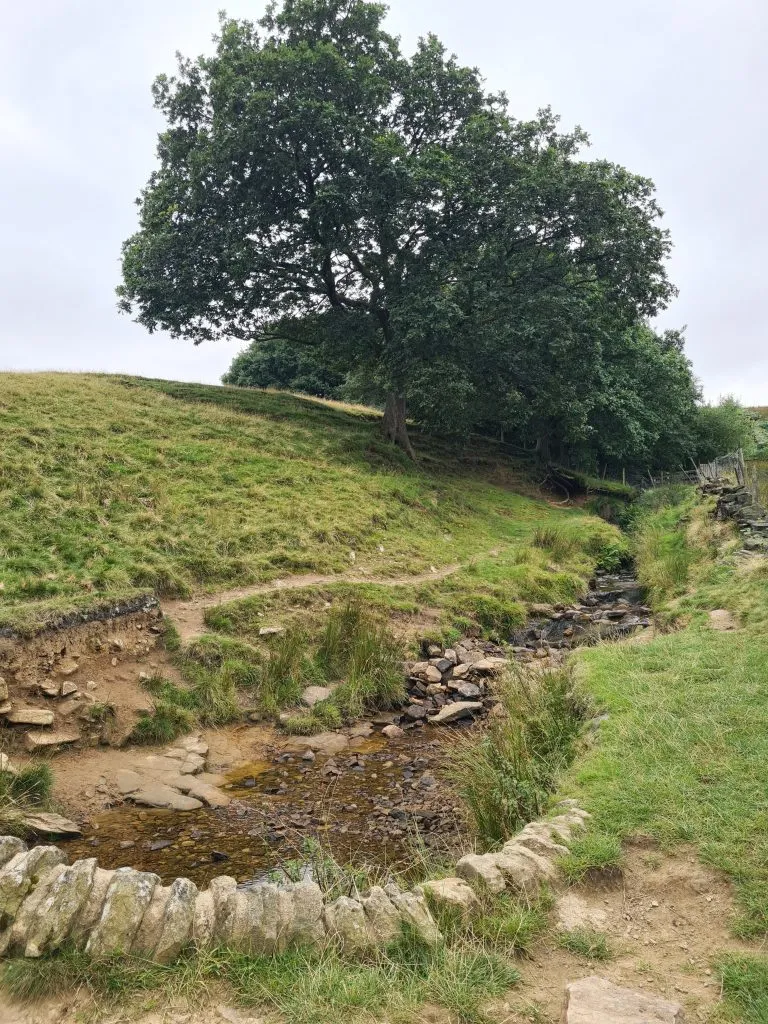 Pretty stream at Digley Reservoir running alongside the Kirklees Way to Holme