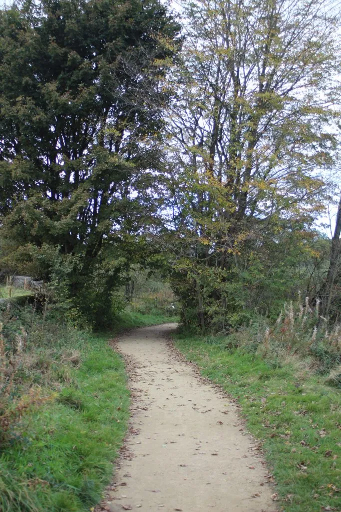 Paths alongside Ingbirchworth Reservoir