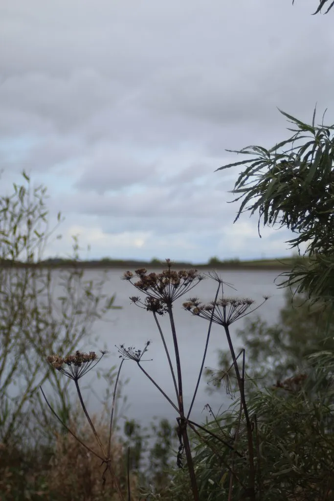 Ingbirchworth Reservoir