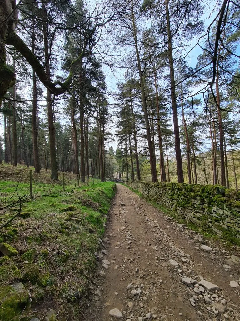 Woodland trails near Ramsden Reservoir