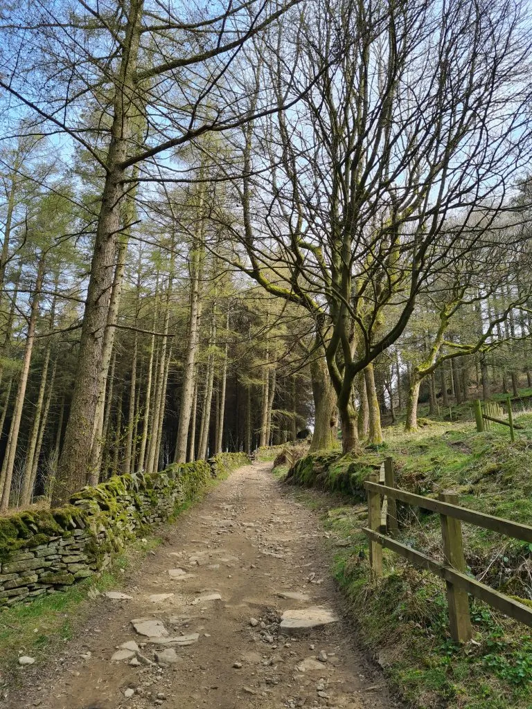 Path up through the woods towards Ramsden Road