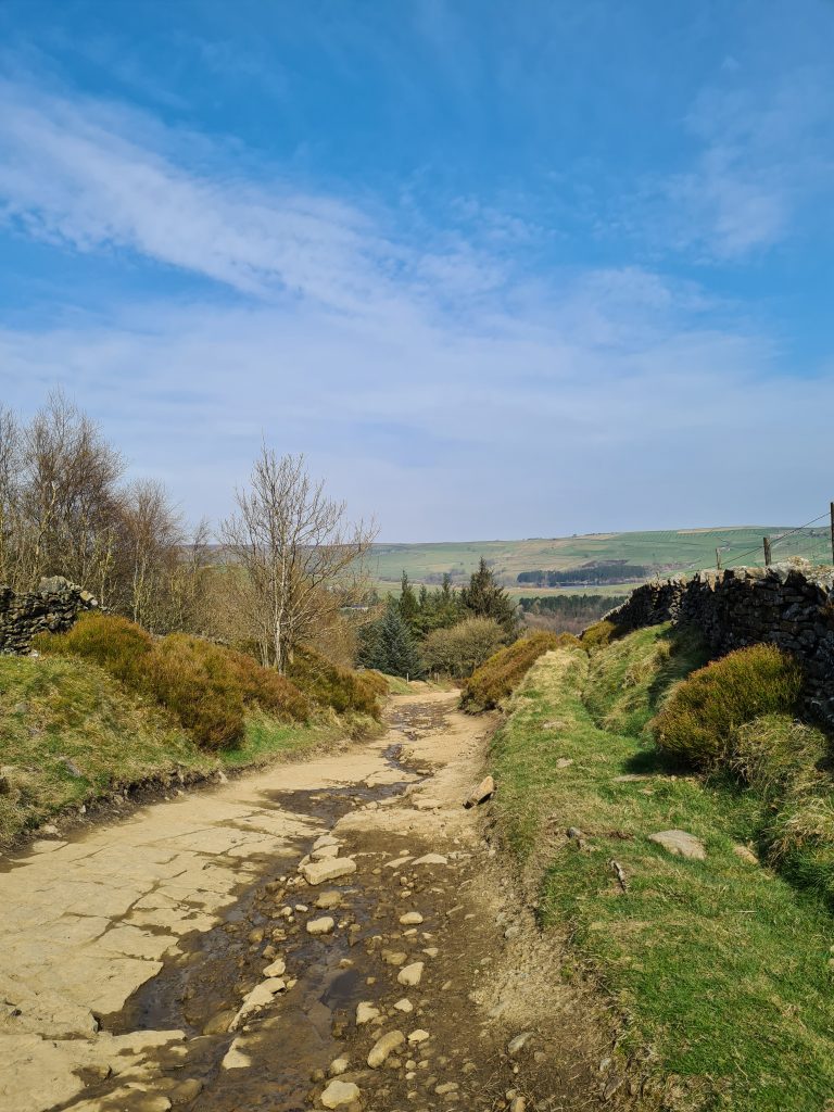 Ramsden Road leading up to Hade Edge