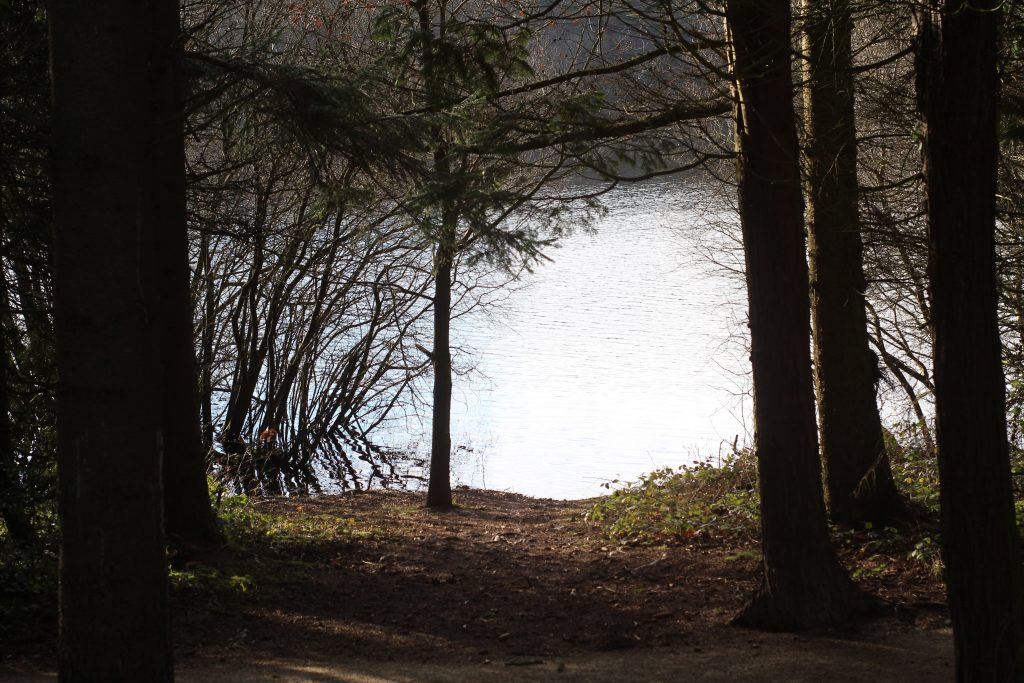 Underbank Reservoir, Midhopestones - Easy Circular Walk with Kids from The Wandering Wildflower