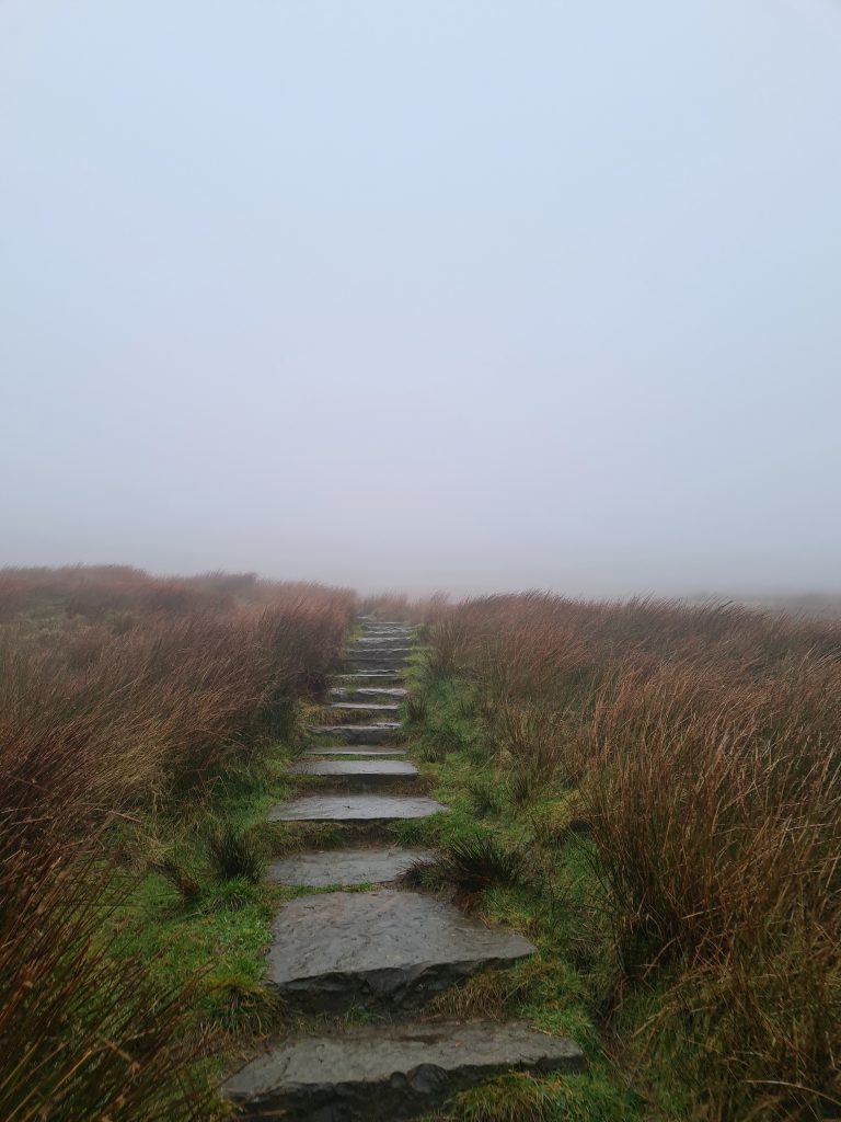Steps leading up to Whernside
