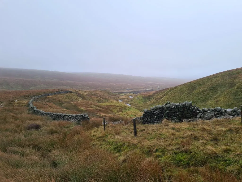 Moorland near Whernside 