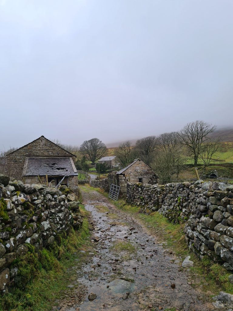 Farm track in the Yorkshire Dales