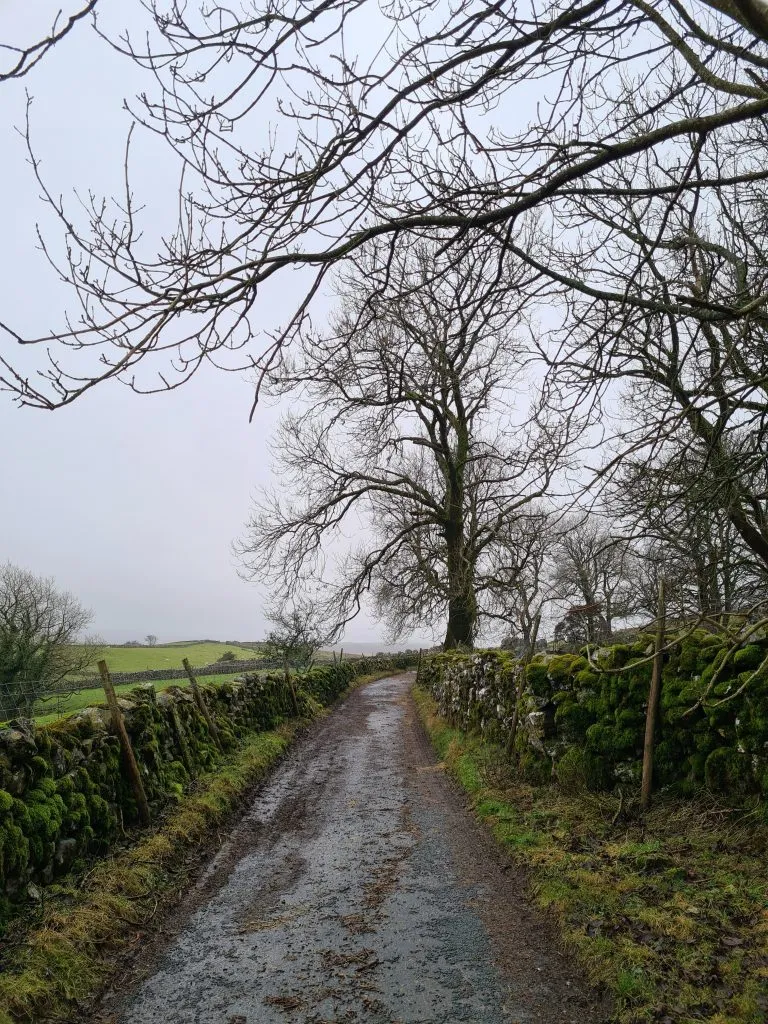 Country lane in the Yorkshire Dales