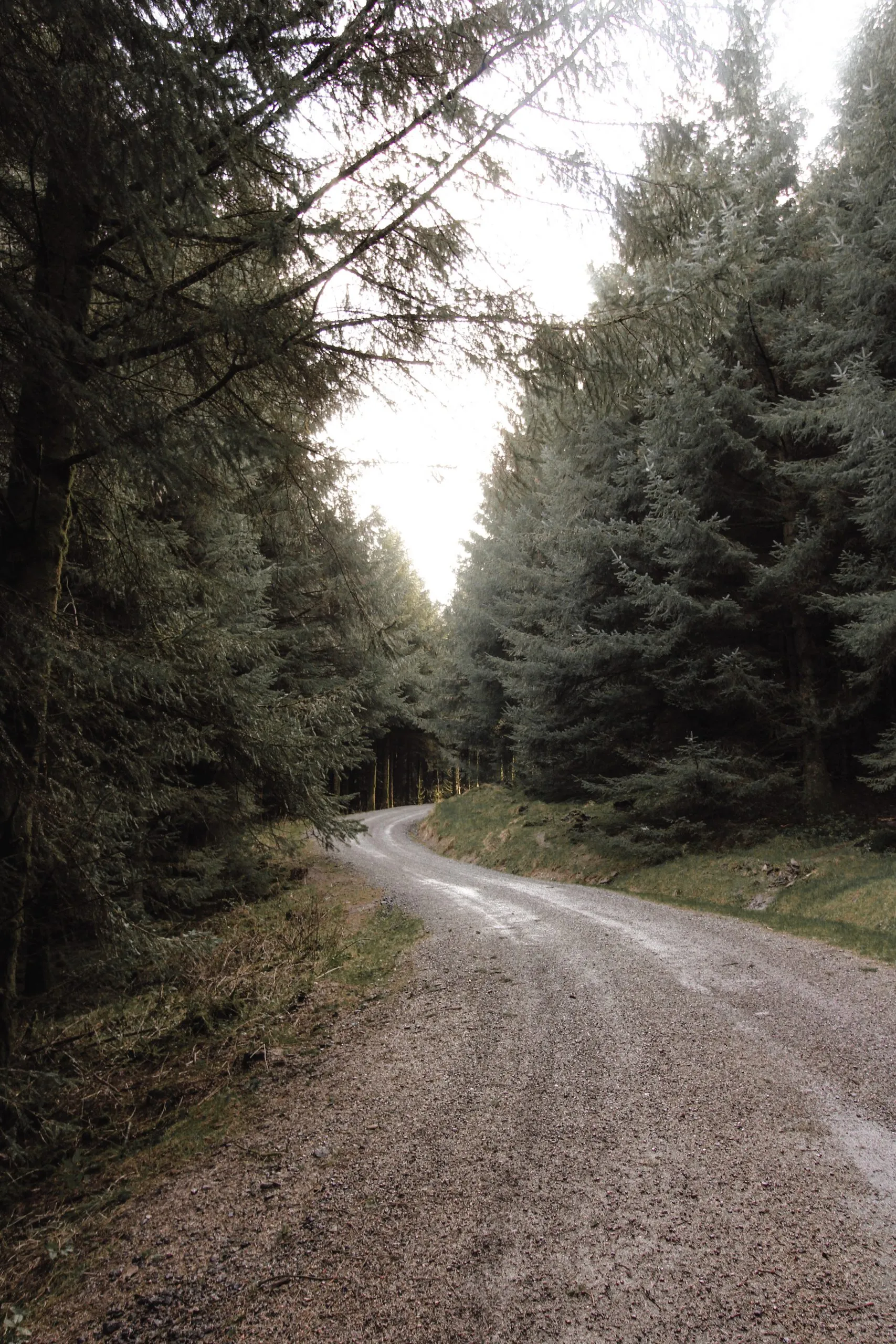 Woodland near Hades Ruins of the former farm at Hades - Hades Circular Walk in Holmfirth by The Wandering Wildflower