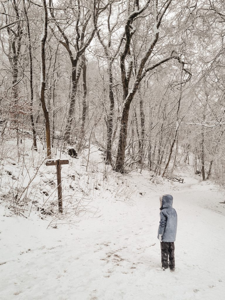 Small girl in a blue coat looking at a signpost in a snowy woodland from a blog post about a Grin Low and Solomon's Temple Walk in Buxton, Peak District by The Wandering Wildflower