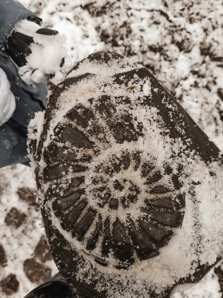 A wooden Ammonite waymarker in a snowy woodland from a blog post about a Grin Low and Solomon's Temple Walk in Buxton, Peak District by The Wandering Wildflower