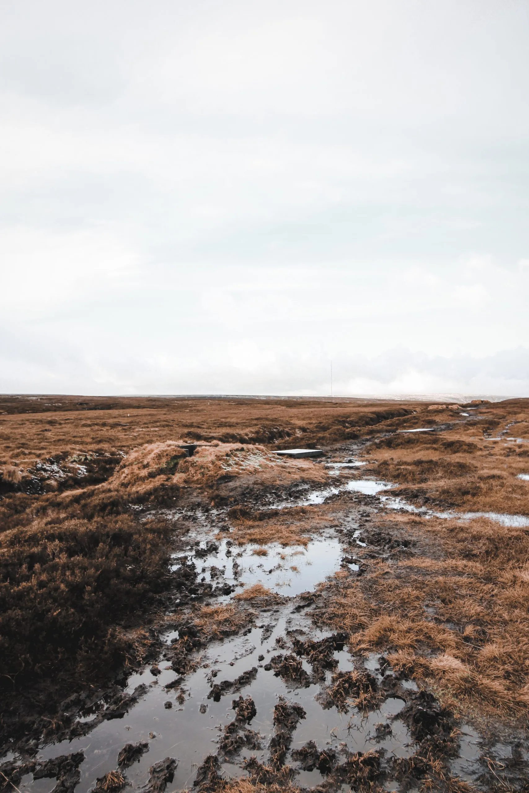 Wet, boggy moorland at Cooks Study Moss - Hades Circular Walk in Holmfirth - The Wandering Wildflower