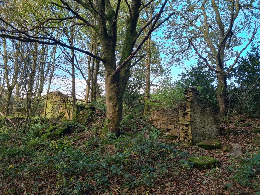 Ruined old farmhouse Lower Cote near Wood Nook, Honley