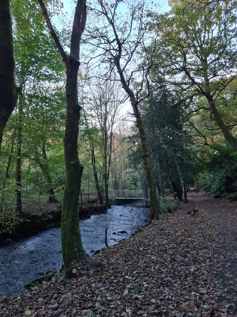 Thick Hollins Dike, Meltham Pleasure Grounds