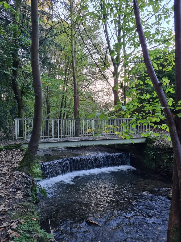 Bridge over Thick Hollins Dike, Meltham Pleasure Grounds