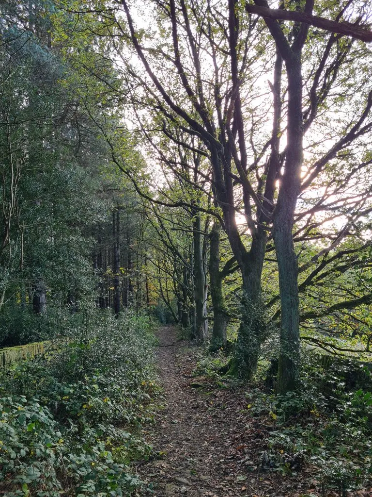 Woodland path from Wood Nook, Honley to Meltham