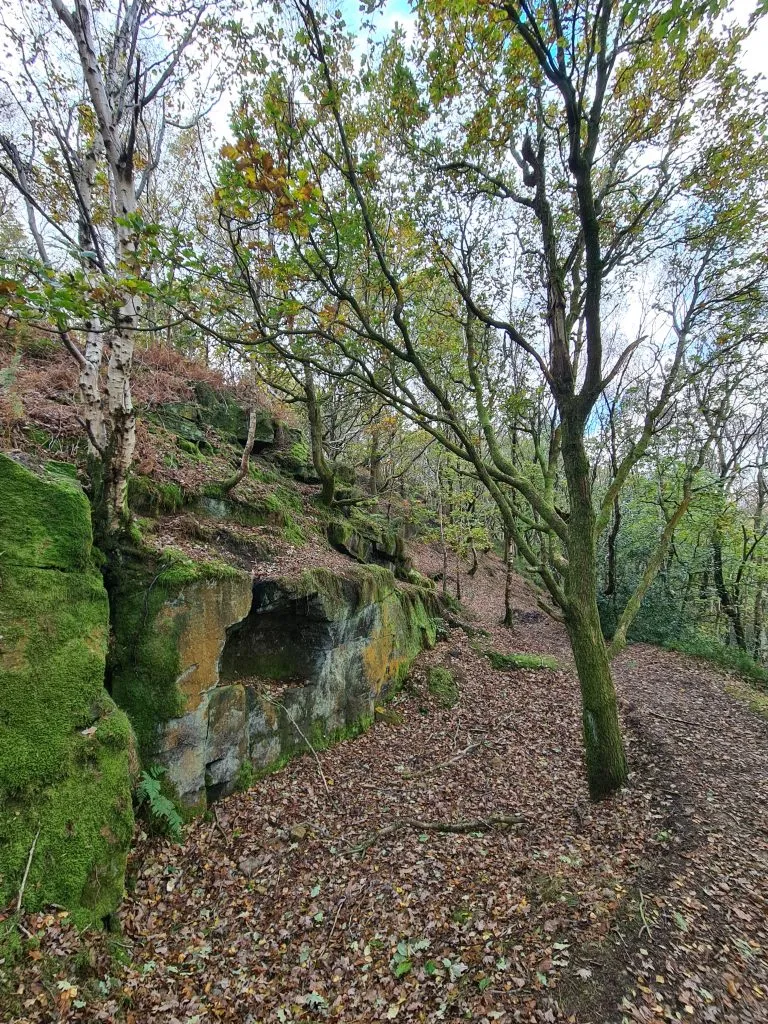 Former quarry - A walk in Honley Woods - ancient woodland in Holmfirth