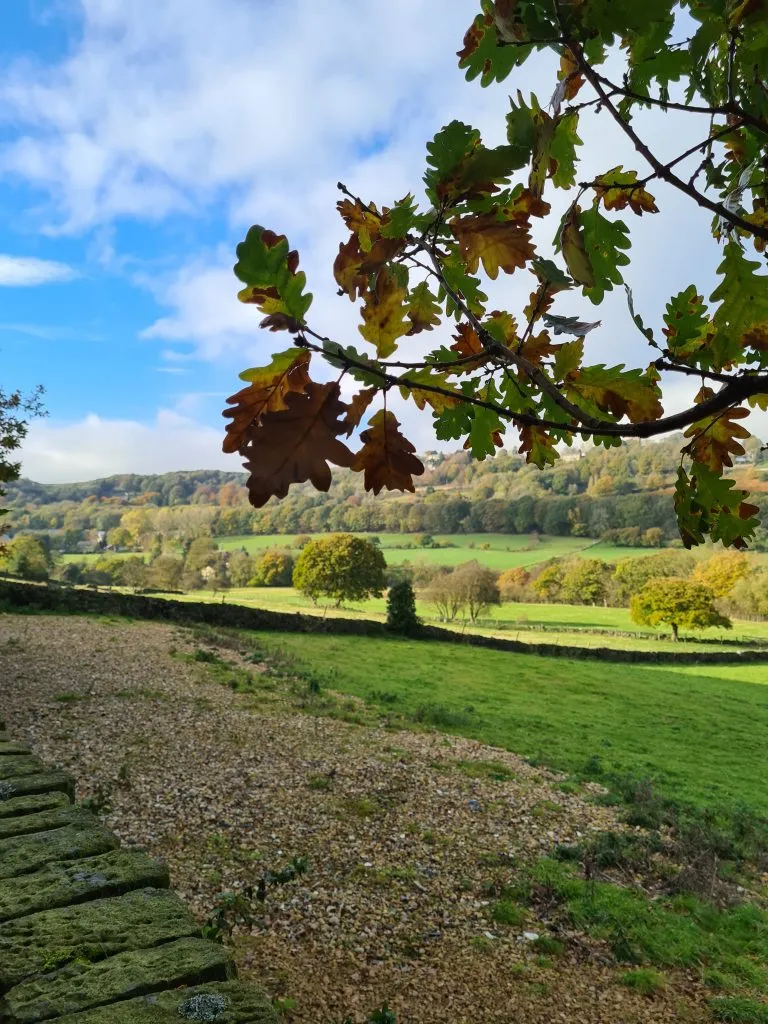 Views towards Netherton from Wood Bottom Road, Honley