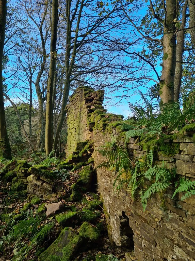 Ruined old farmhouse Lower Cote near Wood Nook, Honley