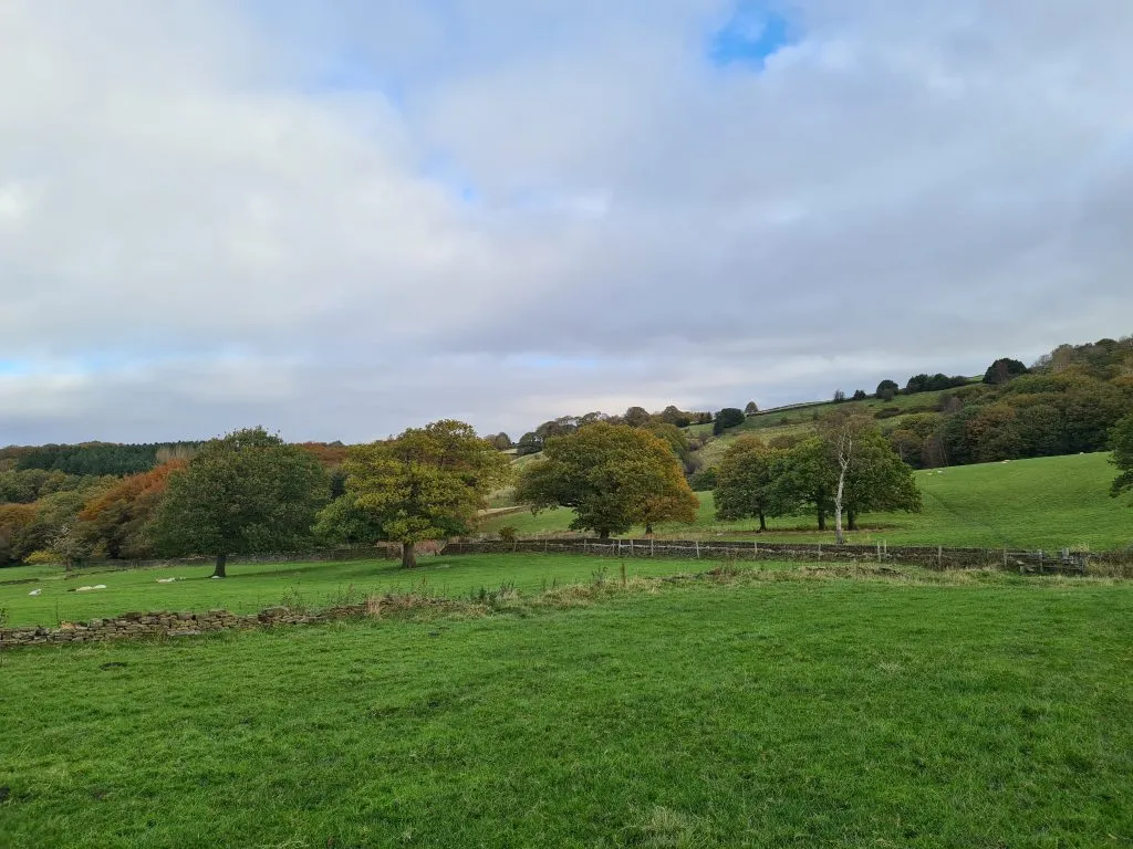 Countryside near Wood Nook, Honley