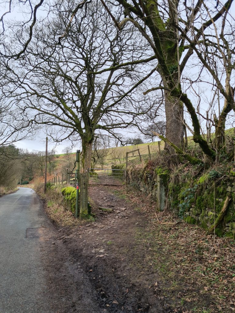 Gateway through some trees - Shutlingsloe circular walk via Whetstone Ridge by The Wandering Wildflower