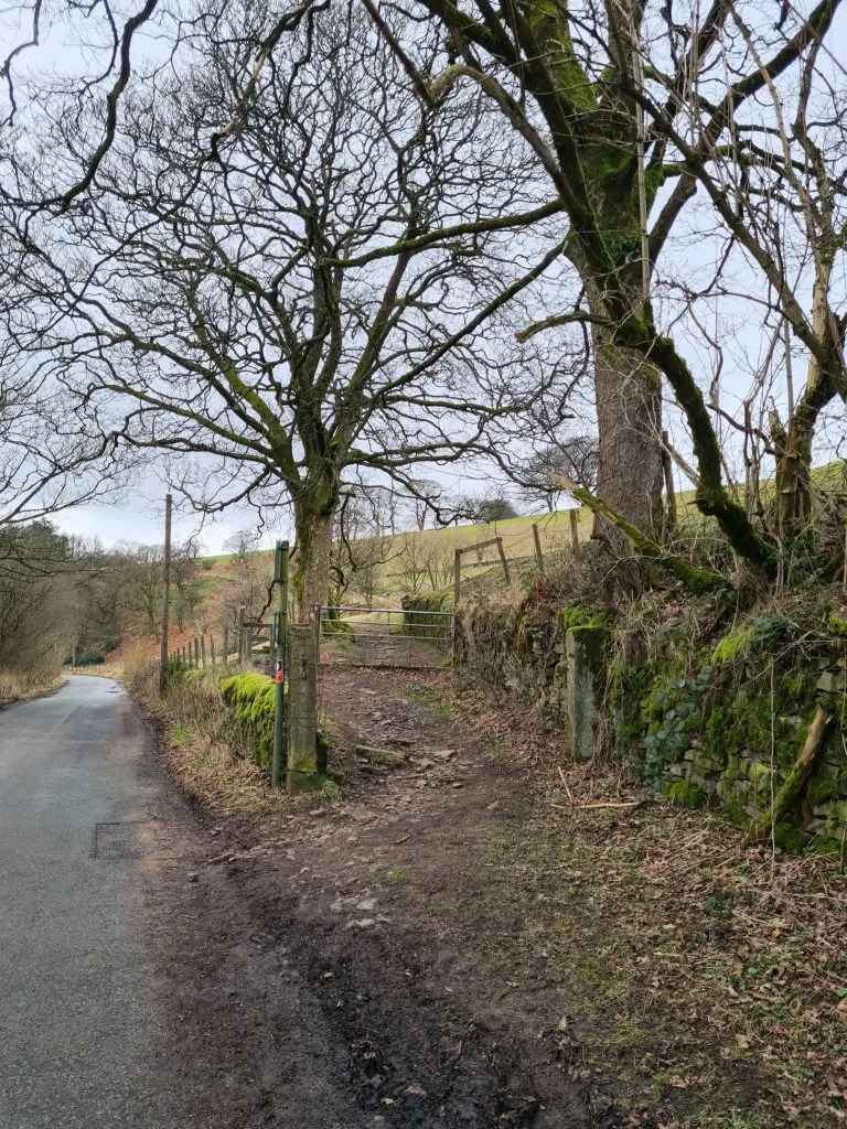 Gateway through some trees - Shutlingsloe circular walk via Whetstone Ridge by The Wandering Wildflower