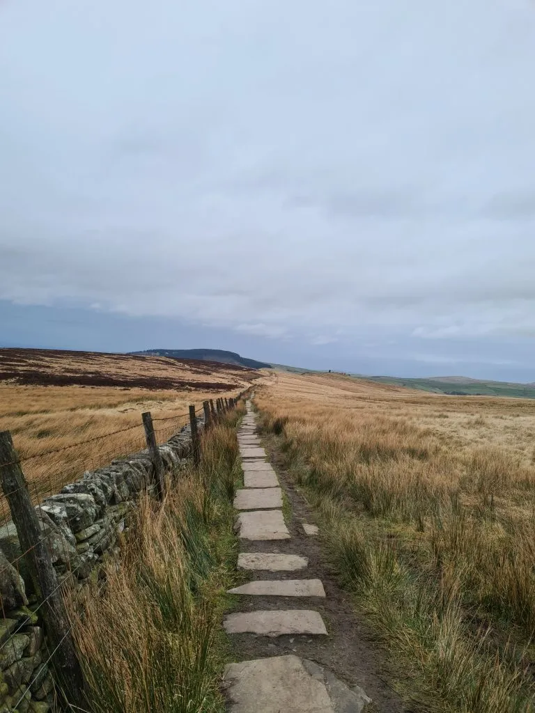 Path towards Macclesfield Forest