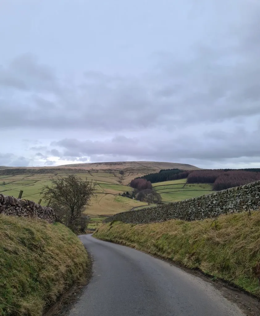 An English countryside lane - Shutlingsloe circular walk via Whetstone Ridge by The Wandering Wildflower