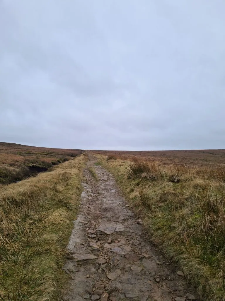 Track to Whetstone Ridge