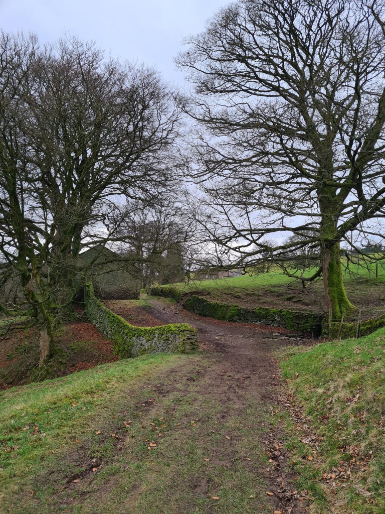 Track across farmland -0 Shutlingsloe circular walk via Whetstone Ridge by The Wandering Wildflower