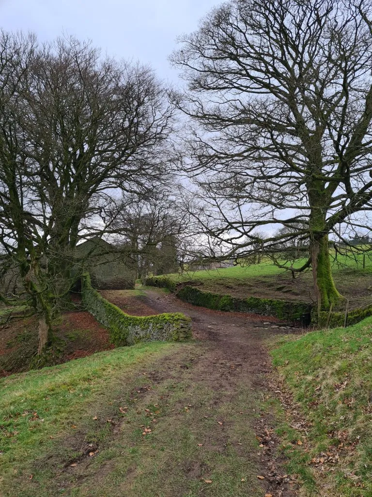 Track across farmland -0 Shutlingsloe circular walk via Whetstone Ridge by The Wandering Wildflower