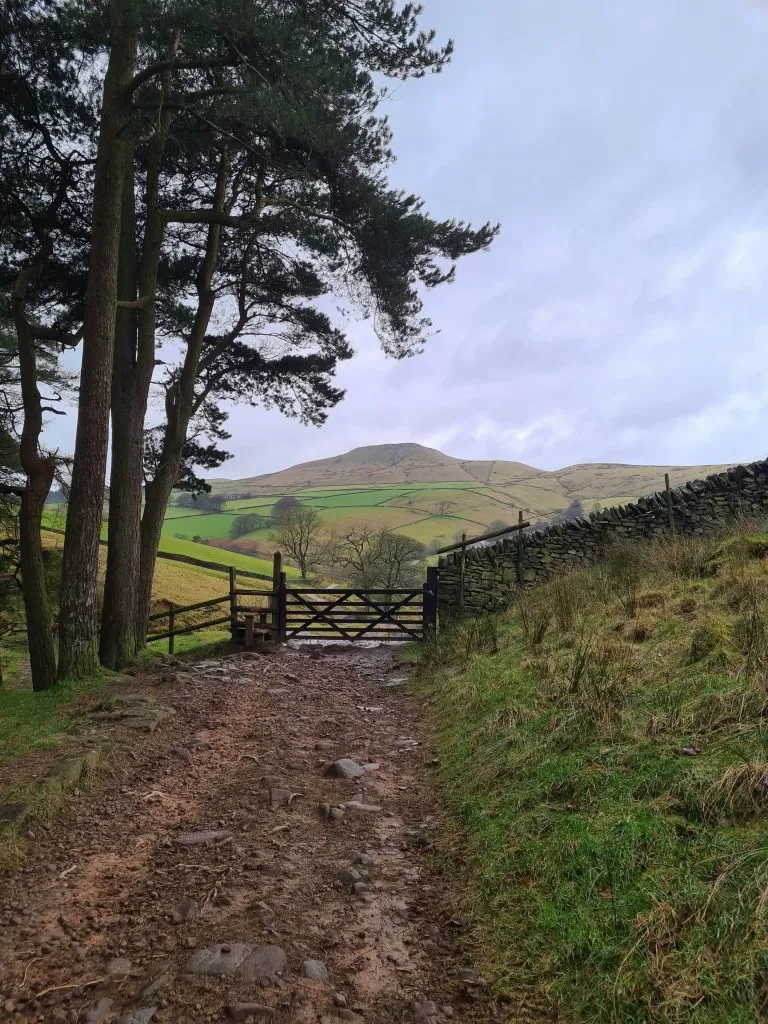 Gate with a view to Shutlingsloe
